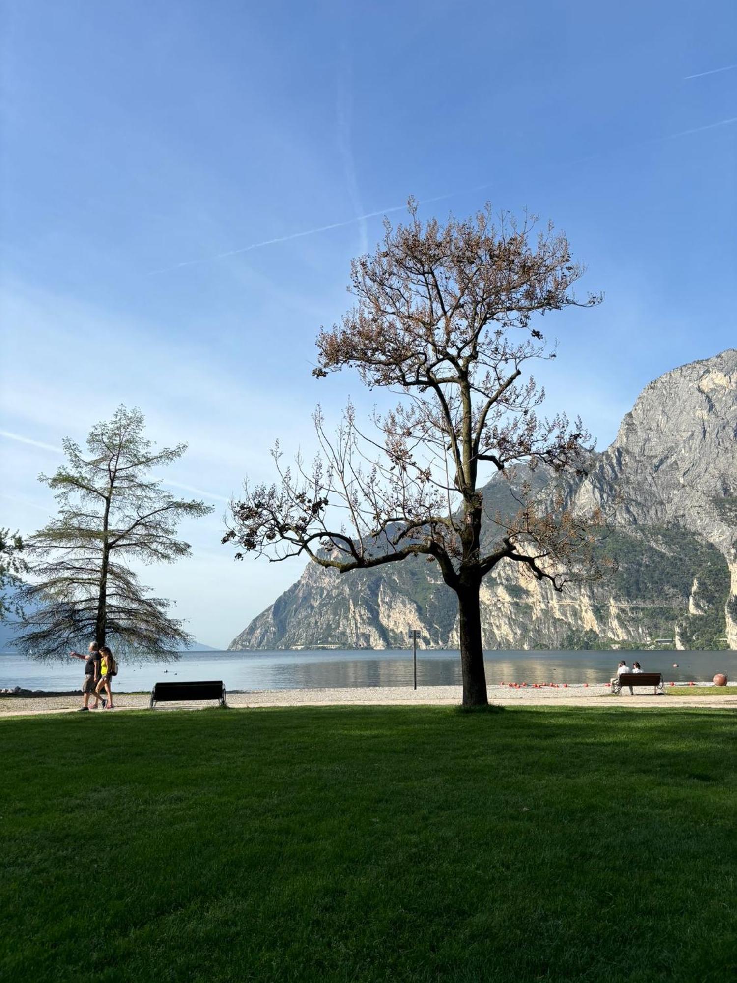 Garden & Pool Perugini Apartment Torbole Sul Garda Luaran gambar